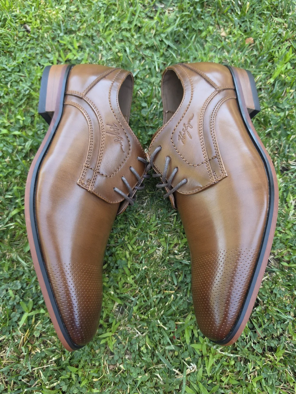 Tommy Hilfiger Brown Leather Derby Shoes